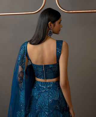 Noéla navy blue lehenga set