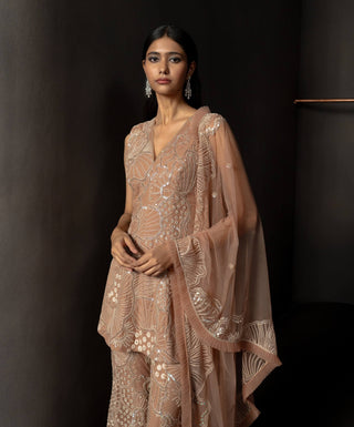Avisa husna brown short kurta and sharara set