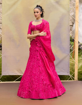 Fuchsia pink novae lehenga set