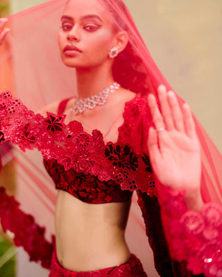 Red ellisiana lehenga set