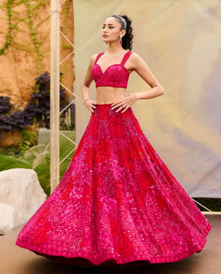 Red adonis lehenga set