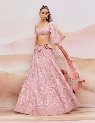 Muted pink rostrata lehenga set