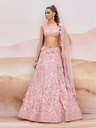 Muted pink rostrata lehenga set