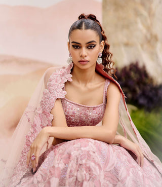 Muted pink rostrata lehenga set