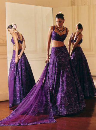 Emma purple lehenga set