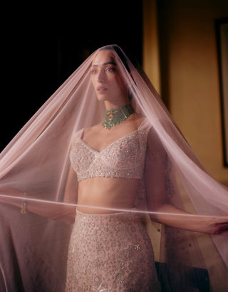 Nadia husna pink lehenga set
