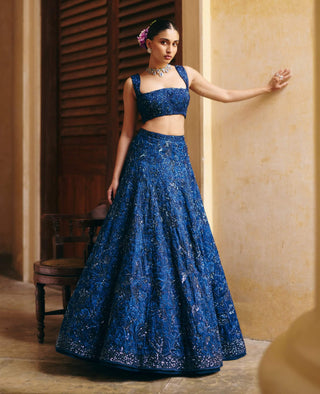Emma navy blue lehenga set
