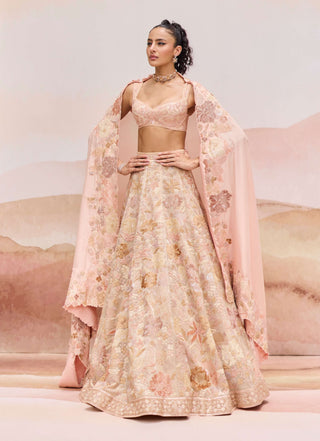 Gold pylora lehenga set