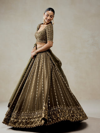 Mehendi green embroidered lehenga set