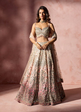 Rose pink ombre mirror work lehenga set