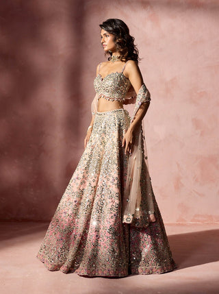 Rose pink ombre mirror work lehenga set