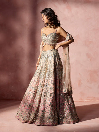 Rose pink ombre mirror work lehenga set