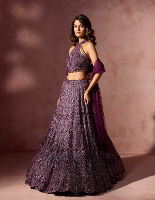 Wine net lehenga set