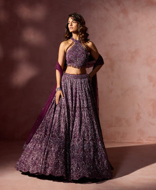 Wine net lehenga set