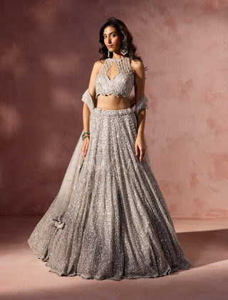 Silver gray net lehenga set