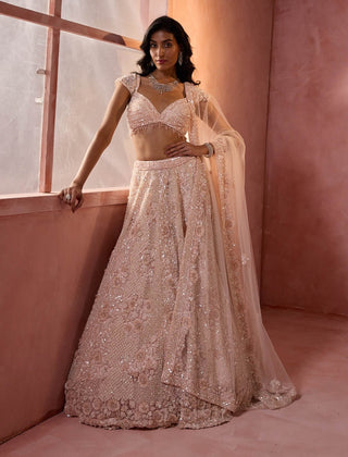 Blush pink net lehenga set