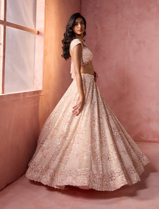 Blush pink net lehenga set
