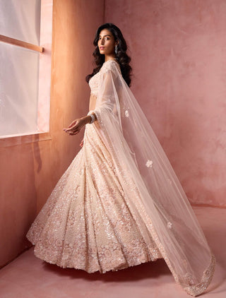 Blush pink net lehenga set