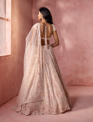 Blush pink net lehenga set