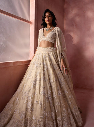 Ivory cream organza lehenga set