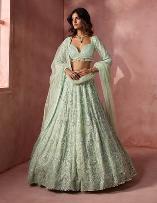 Sea green net lehenga set