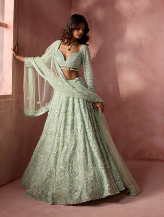 Sea green net lehenga set