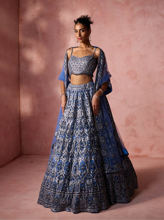 Petrol blue net lehenga set