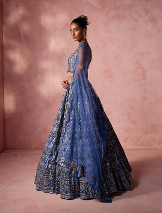 Petrol blue net lehenga set