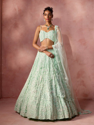 Mint green net lehenga set 