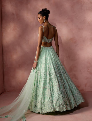 Mint green net lehenga set 