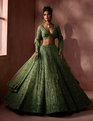 Sage green net lehenga set