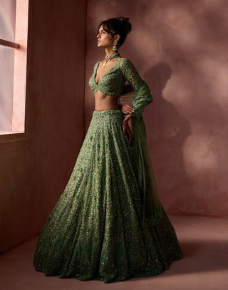 Sage green net lehenga set