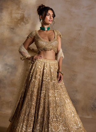 Gold cutwork lehenga set