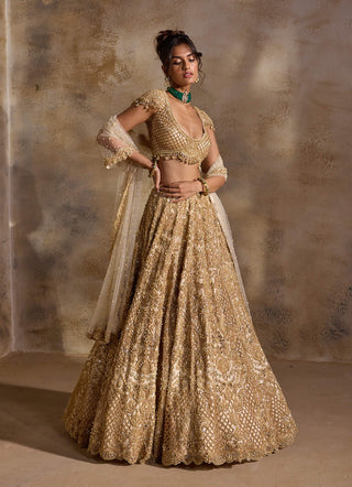 Gold cutwork lehenga set