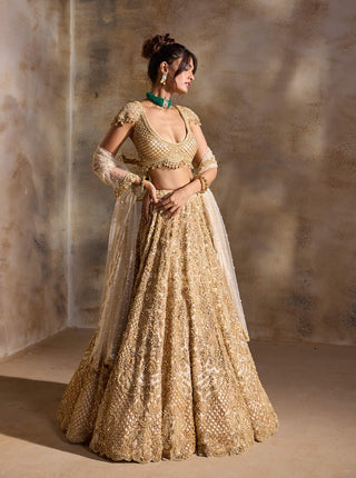 Gold cutwork lehenga set