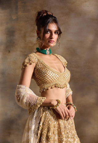 Gold cutwork lehenga set