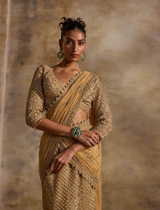 Gold net draped lehenga sari and blouse
