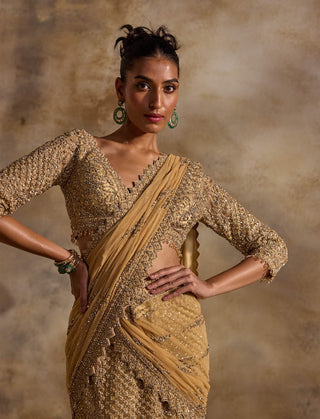 Gold net draped lehenga sari and blouse