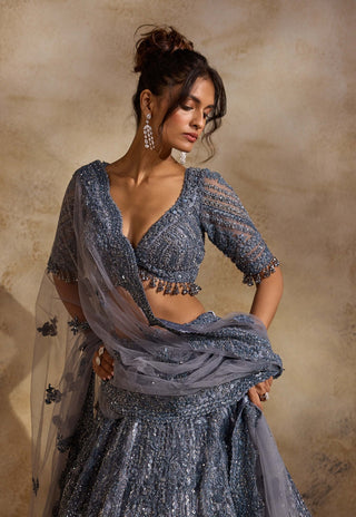 Stone gray net lehenga set