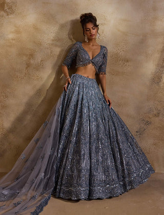 Stone gray net lehenga set