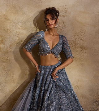 Stone gray net lehenga set