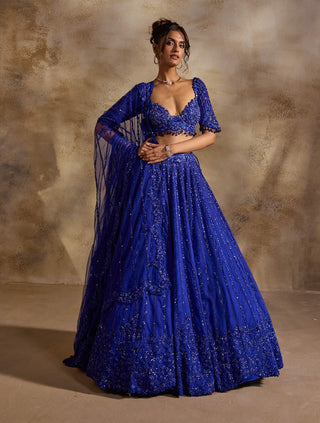 Electric blue lehenga choli set