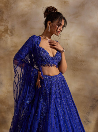 Electric blue lehenga choli set