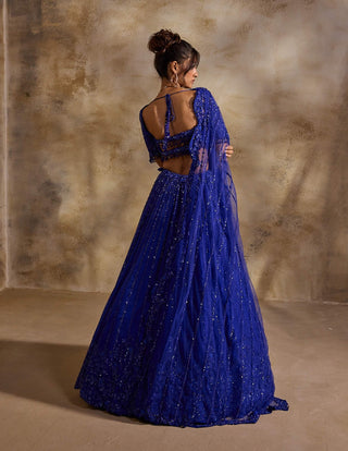 Electric blue lehenga choli set