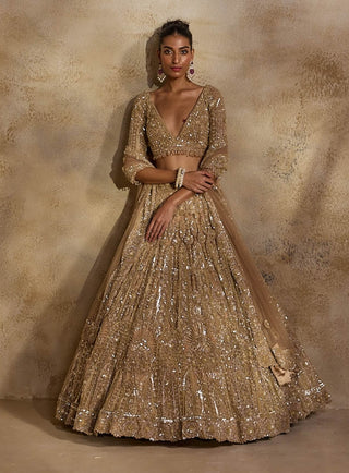 Champagne gold lehenga choli set