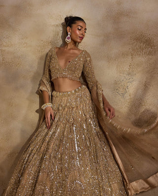 Champagne gold lehenga choli set