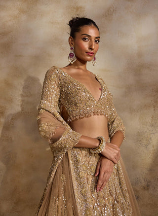 Champagne gold lehenga choli set