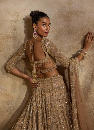 Champagne gold lehenga choli set