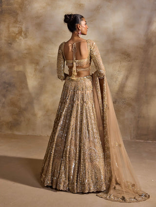 Champagne gold lehenga choli set