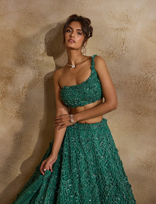 Forest green lehenga choli set